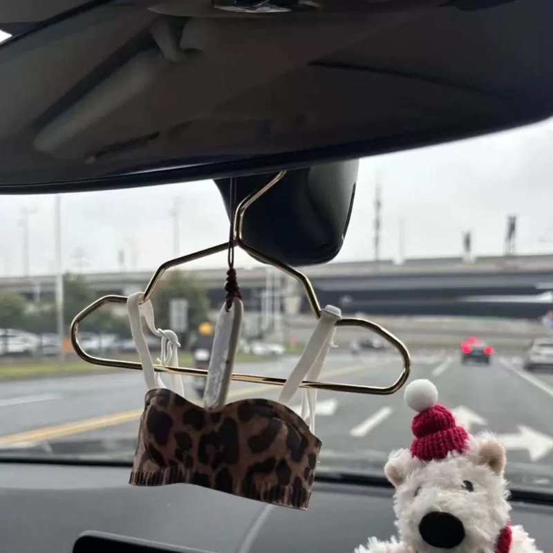 Mini-Dessous-Auto-Ornament, ni – Interior Design Years Bewertung und Preis